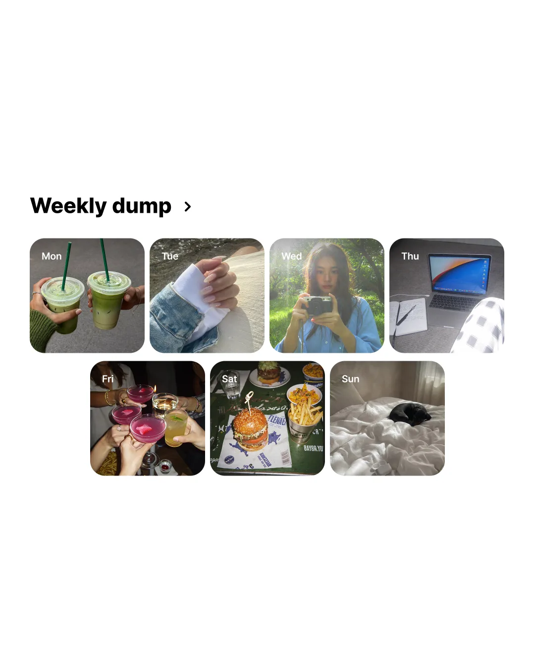 Weekly Dump